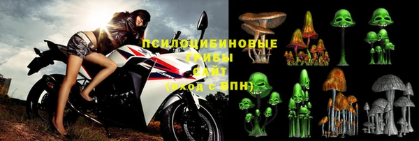 винт Козельск