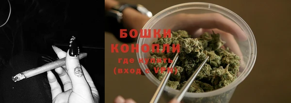 МДПВ Козловка
