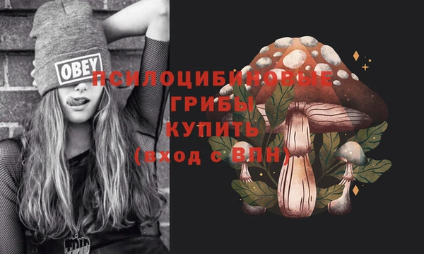 винт Козельск